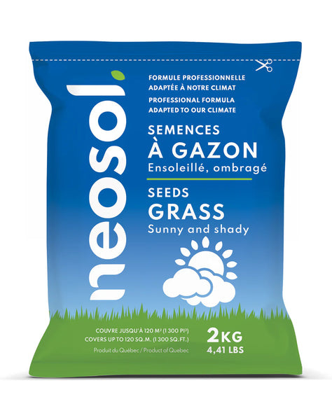 Semences OMBRE | Pelouse dense sous les arbres et à l'ombre – Jardineries