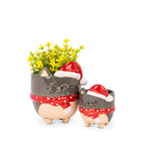 CACHE POT CHAT AVEC BONNET DE NOEL