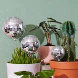 DISCO DADDY - PIQUET DÉCORATIF POUR PLANTES