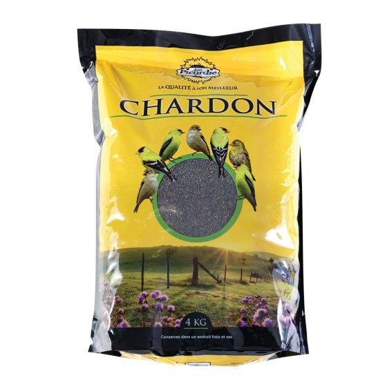 CHARDON NOIR