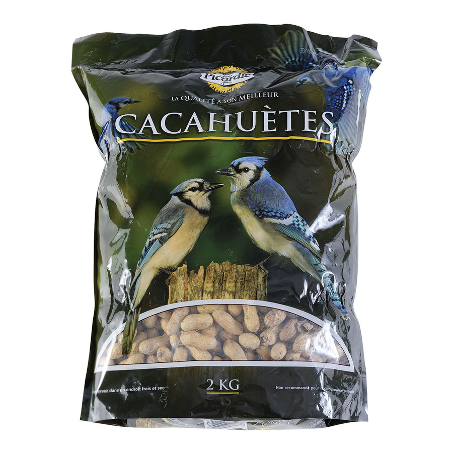 CACAHUETE PICARDIE