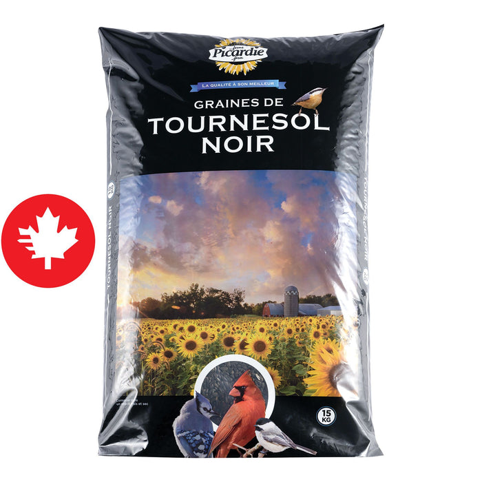 TOURNESOL NOIR