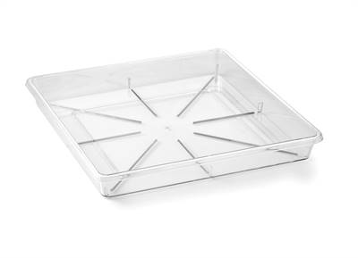 TERAPLAST - PLATO QUADRO TRANSPARENT