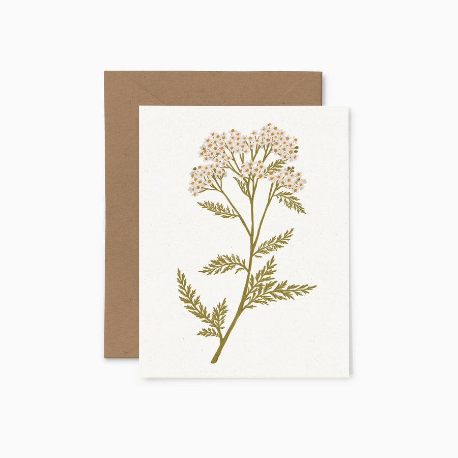 Yarrow | Greeting Card