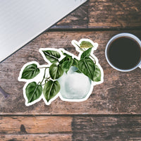 AUTOCOLLANT - PLANTE D'INTÉRIEUR