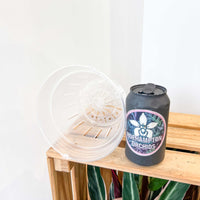 POT SUSPENDU TRANSPARENT À FENTES