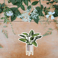 AUTOCOLLANT - PLANTE D'INTÉRIEUR