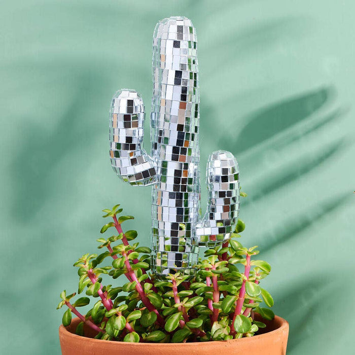 DISCO CACTUS - PIQUET DÉCORATIF POUR PLANTES