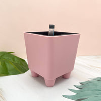 POT MOO AUTO- ARROSANT DE 4PO
