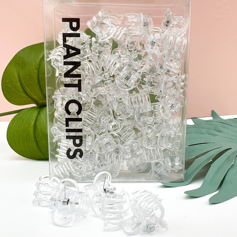 CLIPS DE PLANTES TRANSPARENTS (LOT DE 50)