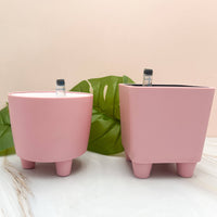 POT MOO AUTO- ARROSANT DE 4PO