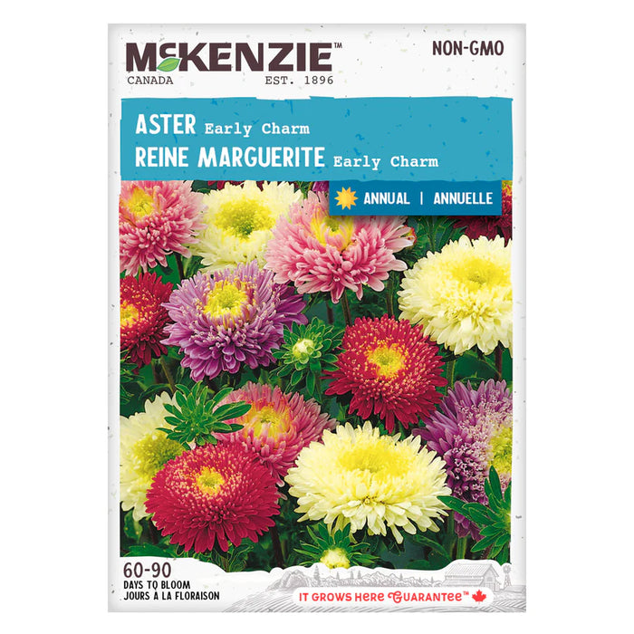 SEMENCES DE FLEURS: ASTER - EARLY CHARM