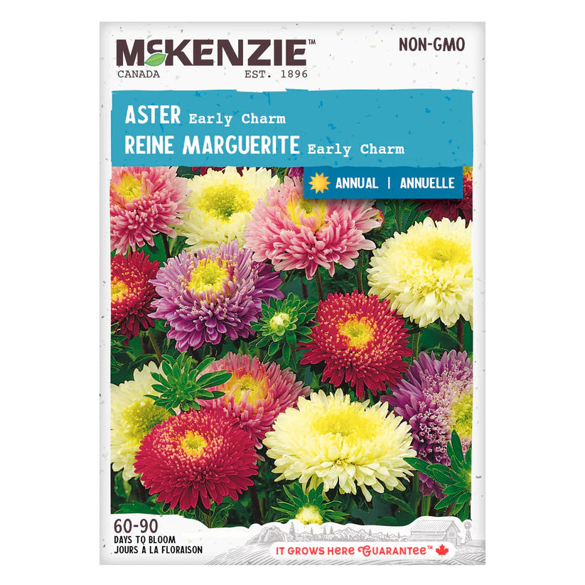 SEMENCES DE FLEURS: ASTER - EARLY CHARM
