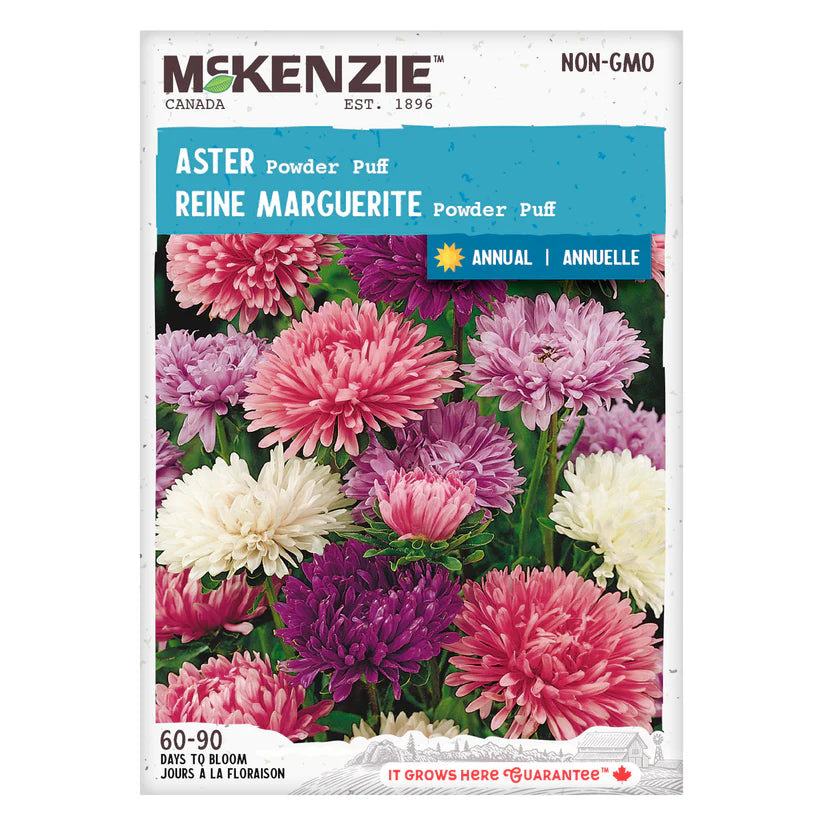 SEMENCES DE FLEURS: ASTER - POWDER PUFF