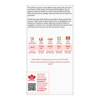 SEMENCES DE LEGUMES: BETTERAVE - DETROIT DARK RED