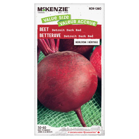VEGETABLE SEEDS: BEET - DETROIT DARK RED