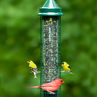 MANGEOIRE SQUIRREL BUSTER CLASSIC