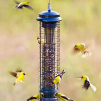 MANGEOIRE SQUIRREL SOLUTION 150