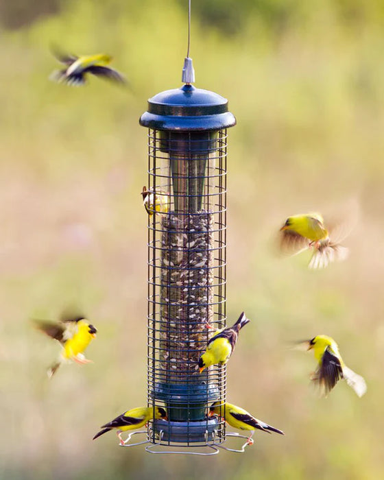 MANGEOIRE SQUIRREL SOLUTION 150