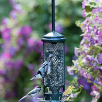 MANGEOIRE SQUIRREL BUSTER MINI