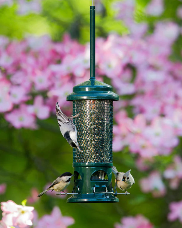 MANGEOIRE SQUIRREL BUSTER STANDARD