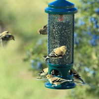 MANGEOIRE SQUIRREL BUSTER LEGACY