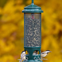 MANGEOIRE SQUIRREL BUSTER LEGACY