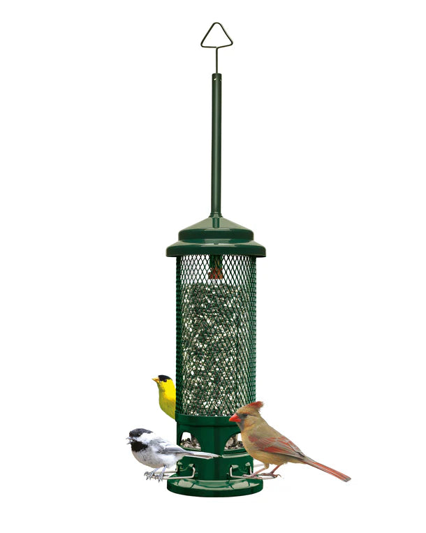 MANGEOIRE SQUIRREL BUSTER LEGACY