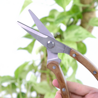 CISAILLES DE JARDIN FINES
