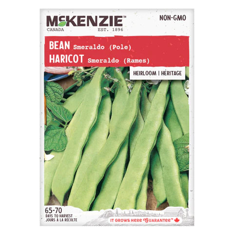 VEGETABLE SEEDS: BEAN - SMERALDO (POLE)
