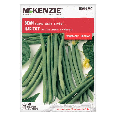 VEGETABLE SEEDS: BEAN - SANTA ANNA (POLE)
