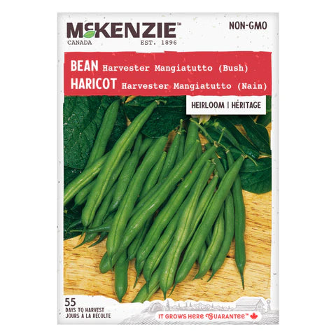 VEGETABLE SEEDS: BEAN - HARVESTER MANGIATUTTO (DWARF)