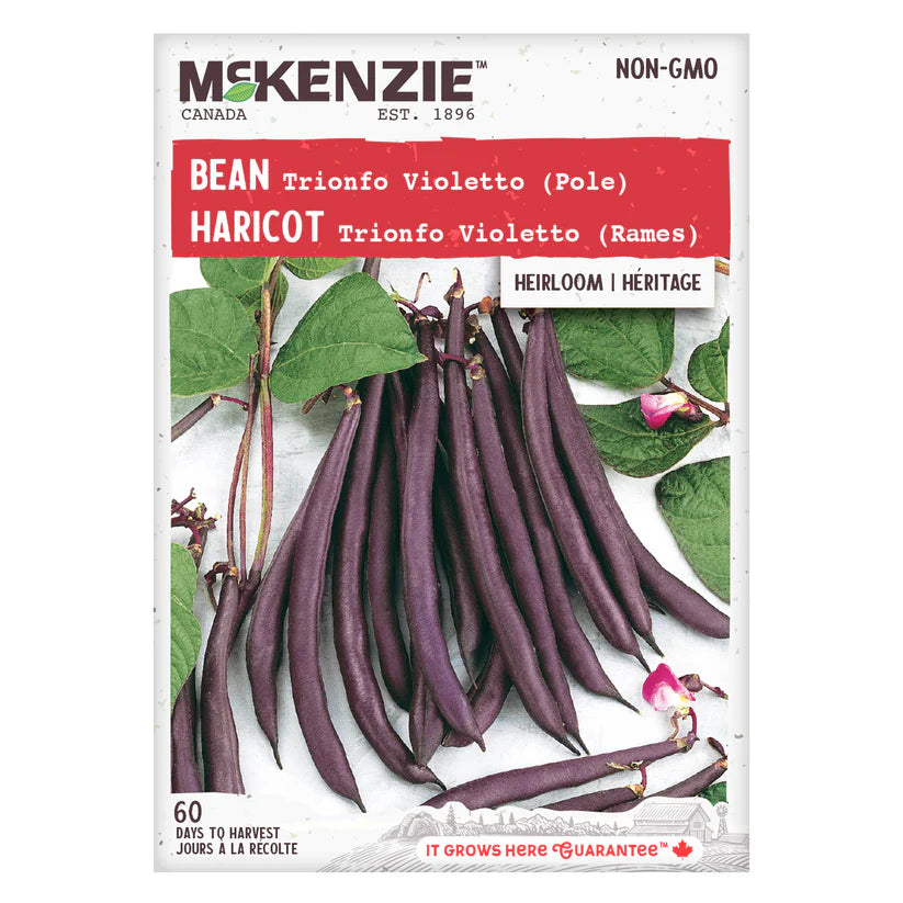 VEGETABLE SEEDS: BEAN - TRIONFO VIOLETTA POLE