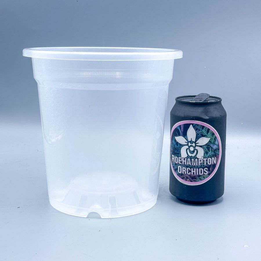 LARGE TRANSPARENT JAR