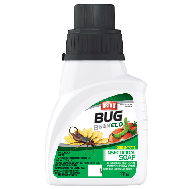 INSECTICIDAL SOAP CONCENTRATE