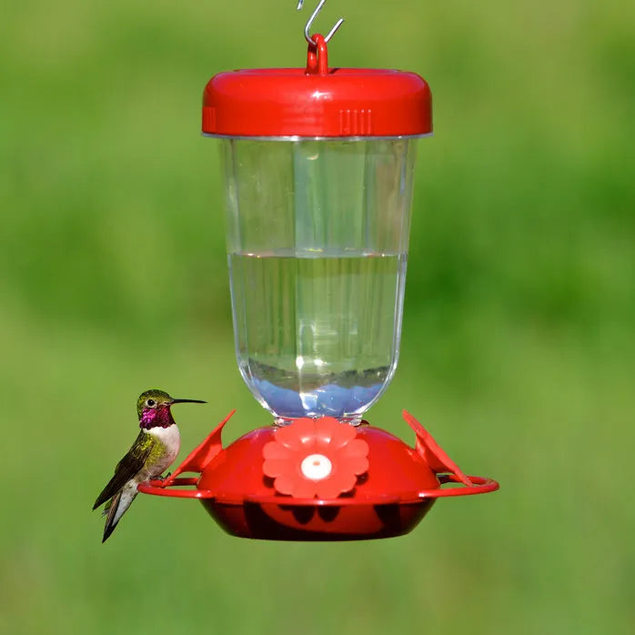 ABROUVOIR À COLIBRI