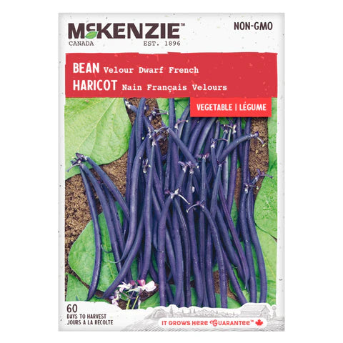 VEGETABLE SEEDS: BEAN - DWARF FRENCH VELOUR