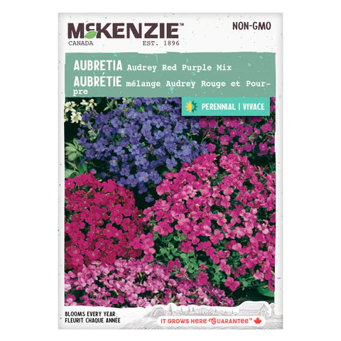 FLOWER SEEDS: AUBRIETA - AUDREY RED AND PURPLE MIX
