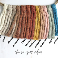 SUPPORT POUR PLANTES EN MACRAMÉ | JARDINIÈRE SUSPENDU D'INTÉRIEUR