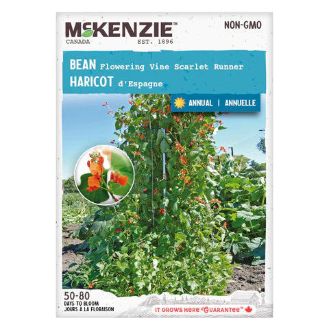 VEGETABLE SEEDS: RUNNER BEAN
