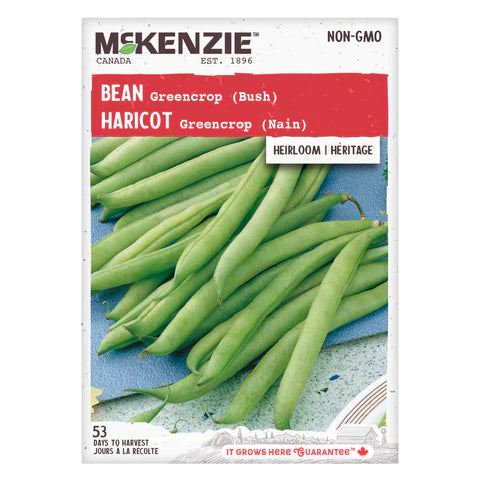 VEGETABLE SEEDS: BEAN - GREENCROP (DWARF)