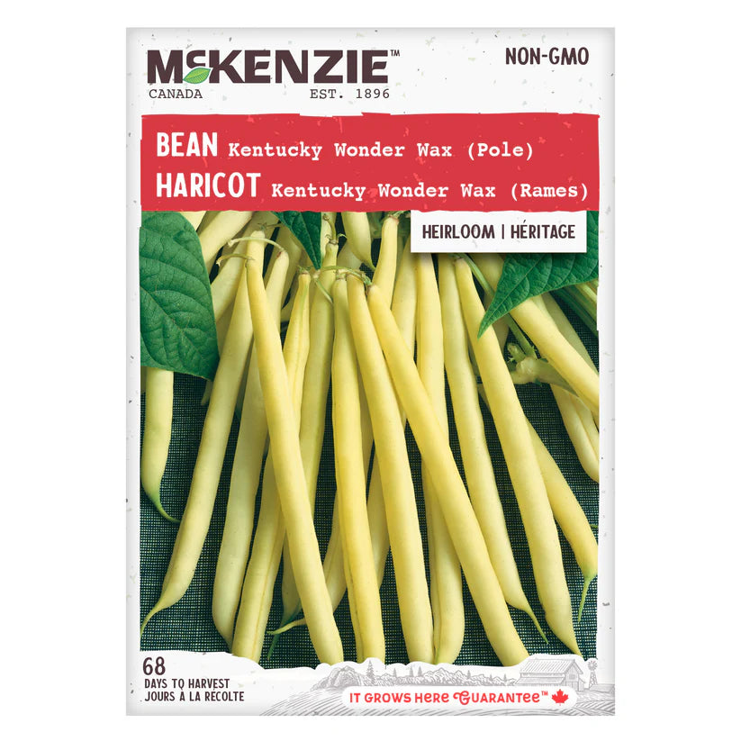 VEGETABLE SEEDS: BEAN - KENTUCKY WONDER WAX (POLE)