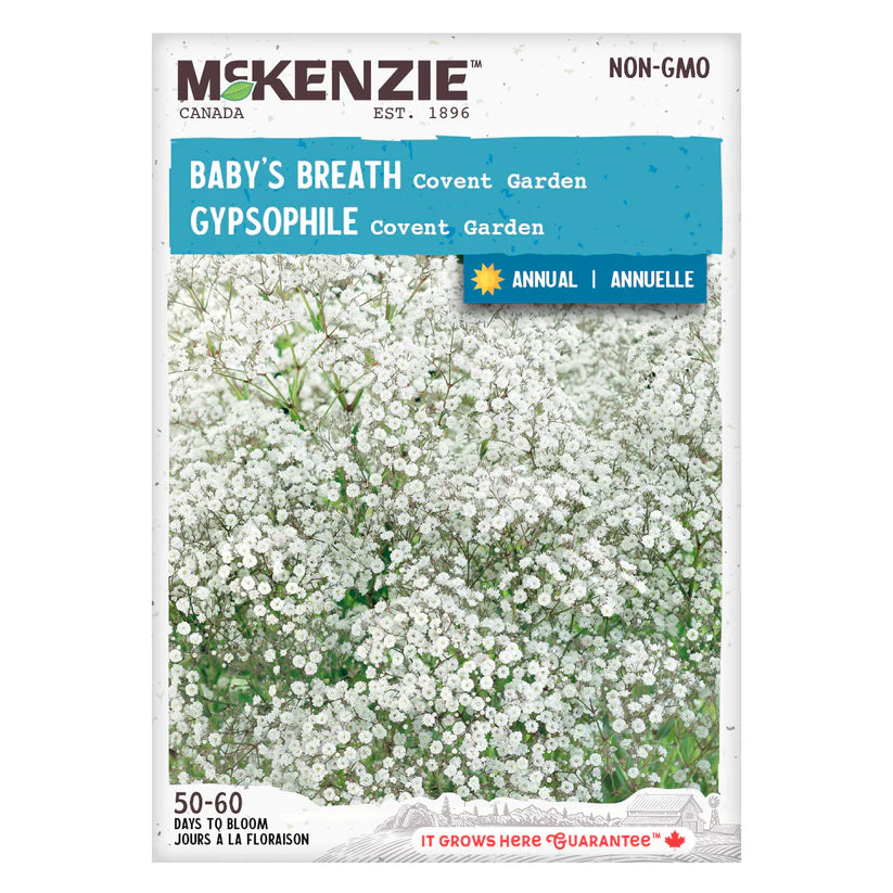 SEMENCES DE FLEURS: GYPSOPHILE