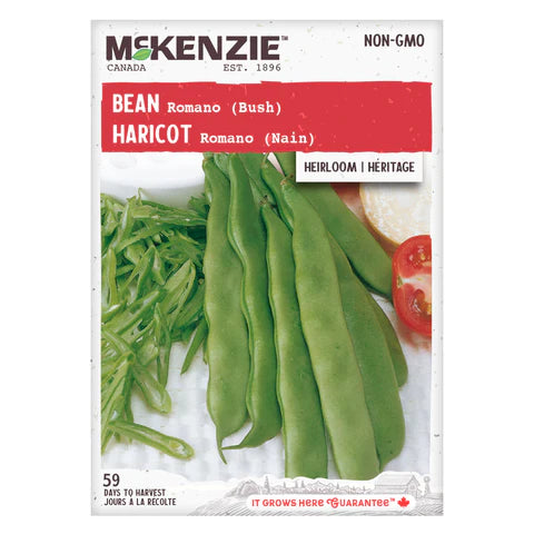 VEGETABLE SEEDS: BEAN - ROMANO (DWARF)