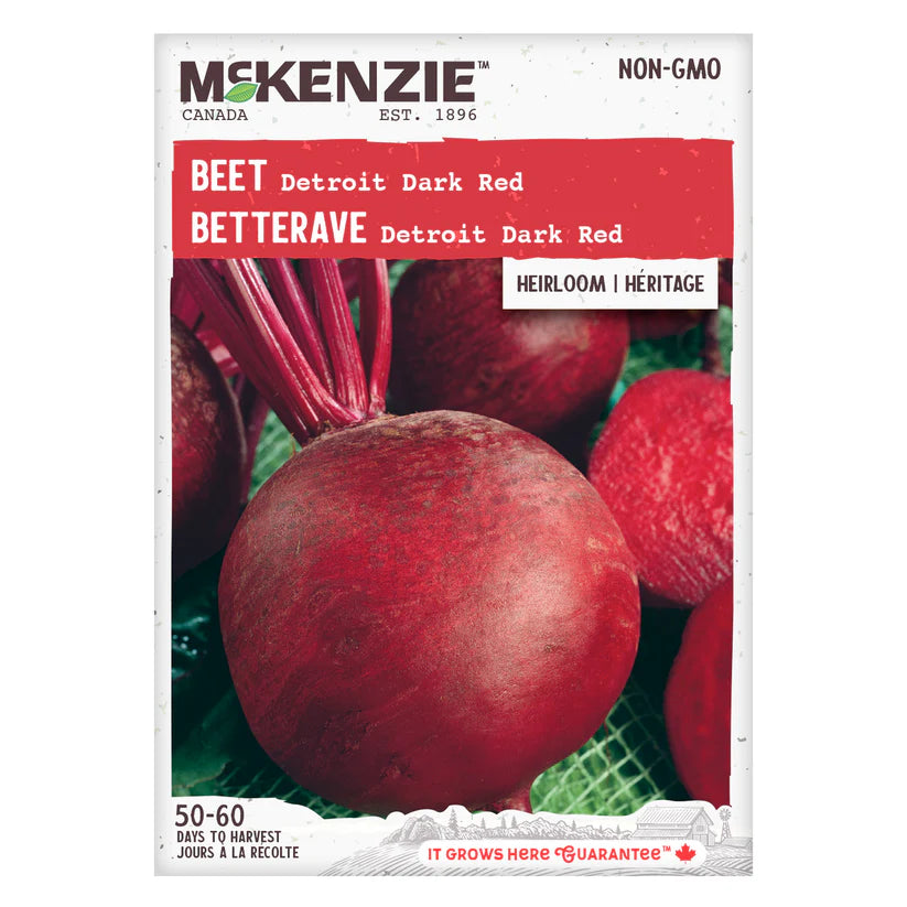 SEMENCES DE LEGUMES: BETTERAVE - DETROIT DARK RED