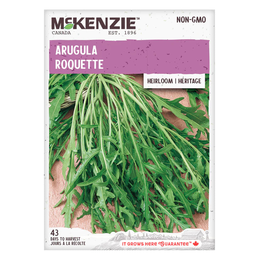 HERB SEEDS: ARUGULA - ROCKET