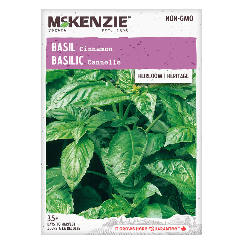 HERB SEEDS: BASIL - CINNAMON