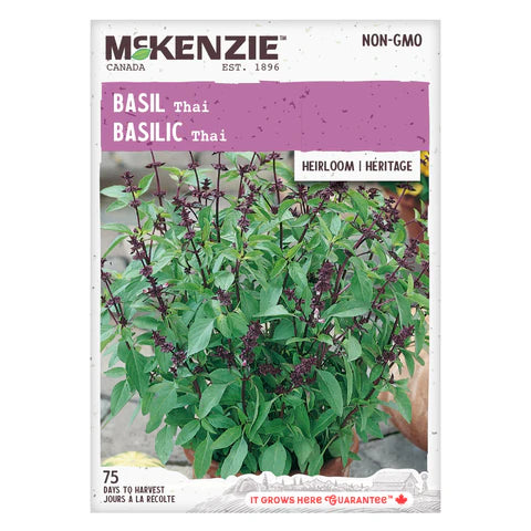 HERB SEEDS: BASIL - THAI