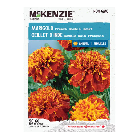 FLOWER SEEDS: MARIGOLD - FRENCH DOUBLE DWARF