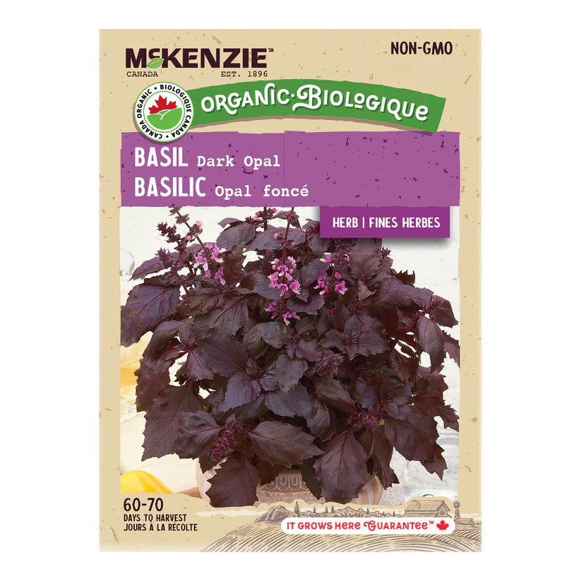 SEMENCES DE FINES HERBES BIO: BASILIC - DARK OPAL